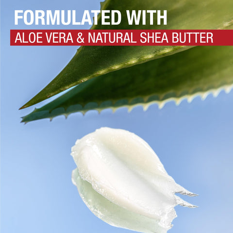 Aquaphor Naturally Inspired Lip Repair Stick with Aloe Vera and Natural Shea Butter, Hydrating Lip Balm Immediately Relieves Dryness Stick, 0.17 Oz (Pack of 2)